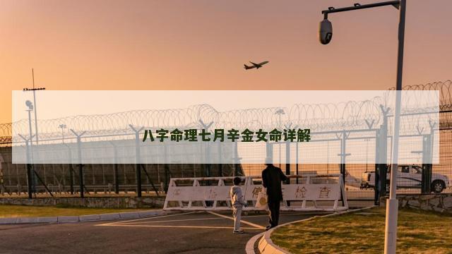 八字命理七月辛金女命详解