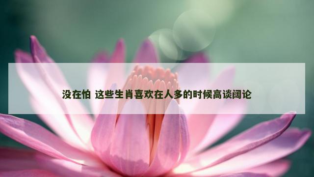 没在怕 这些生肖喜欢在人多的时候高谈阔论