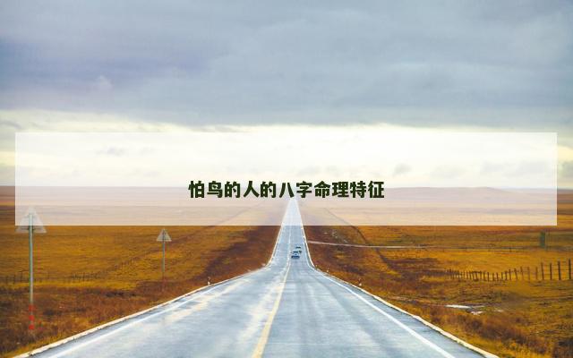 怕鸟的人的八字命理特征