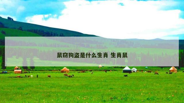鼠窃狗盗是什么生肖 生肖鼠