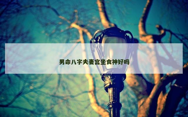 男命八字夫妻宫坐食神好吗