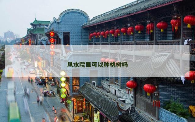 风水院里可以种桃树吗