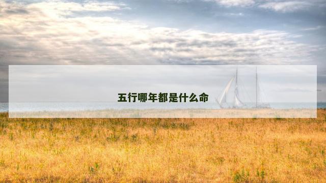 五行哪年都是什么命