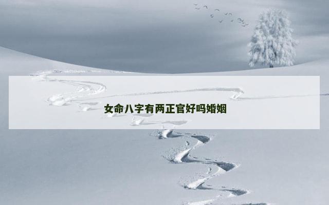 女命八字有两正官好吗婚姻