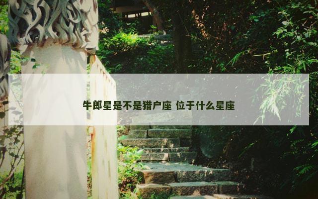 牛郎星是不是猎户座 位于什么星座