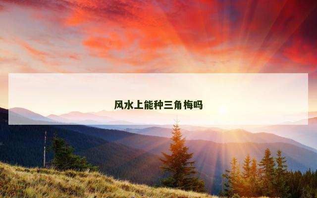 风水上能种三角梅吗