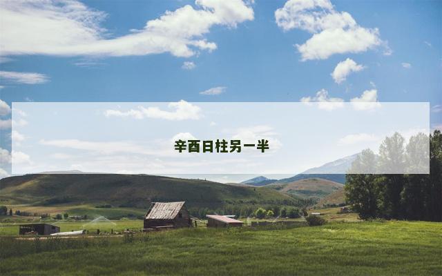 辛酉日柱另一半