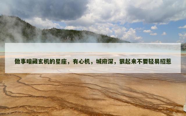 做事暗藏玄机的星座，有心机，城府深，狠起来不要轻易招惹