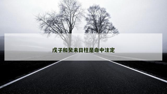 戊子和癸未日柱是命中注定