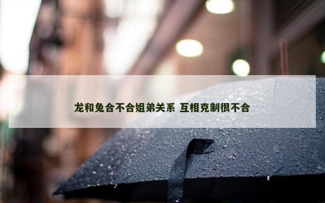 龙和兔合不合姐弟关系 互相克制很不合
