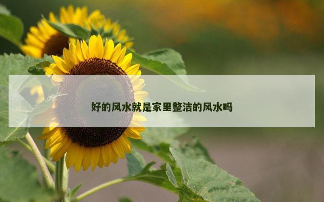 好的风水就是家里整洁的风水吗