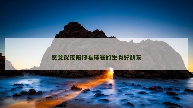 愿意深夜陪你看球赛的生肖好朋友