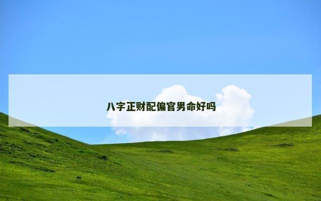 八字正财配偏官男命好吗