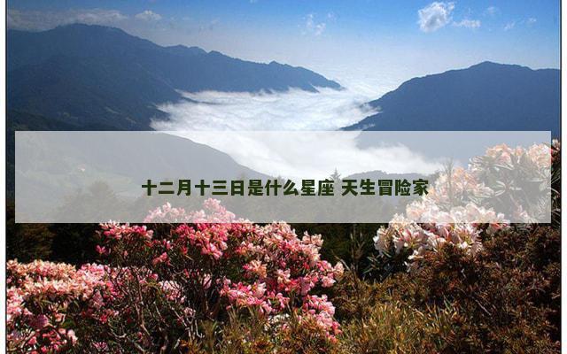 十二月十三日是什么星座 天生冒险家