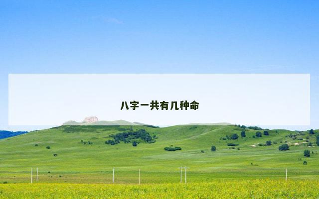八字一共有几种命