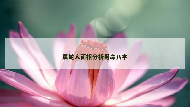 属蛇人面相分析男命八字