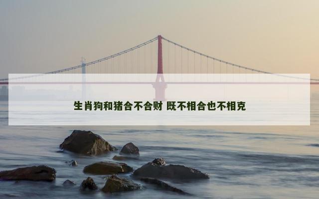 生肖狗和猪合不合财 既不相合也不相克