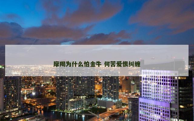 摩羯为什么怕金牛 何苦爱恨纠缠