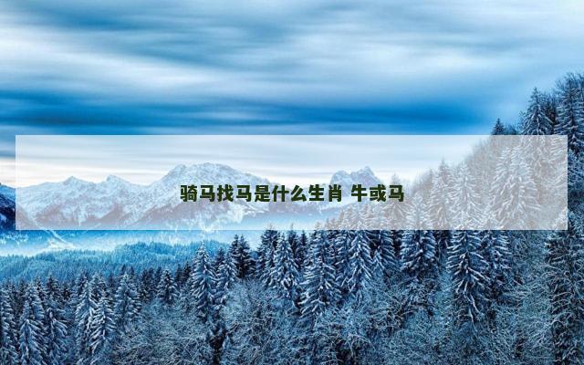 骑马找马是什么生肖 牛或马