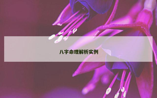 八字命理解析实例