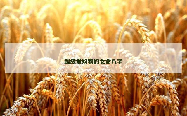 超级爱购物的女命八字