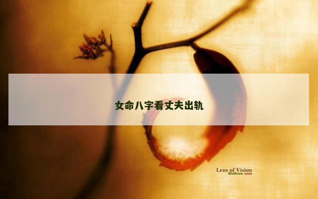 女命八字看丈夫出轨