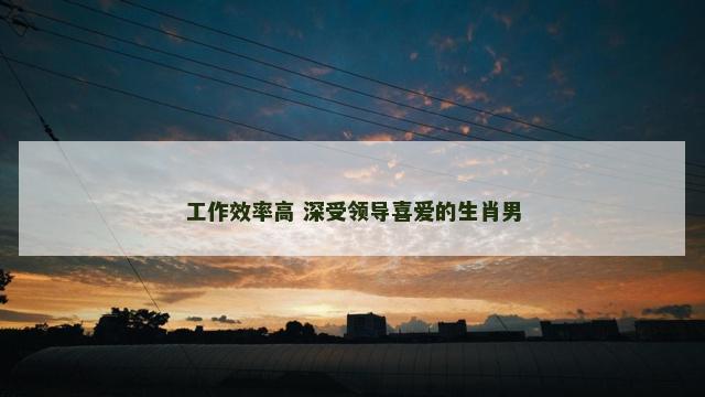 工作效率高 深受领导喜爱的生肖男
