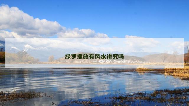 绿罗摆放有风水讲究吗
