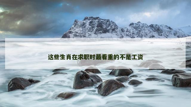 这些生肖在求职时最看重的不是工资