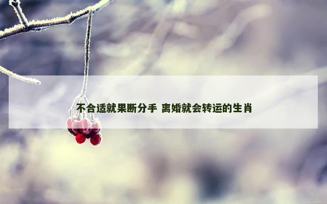 不合适就果断分手 离婚就会转运的生肖