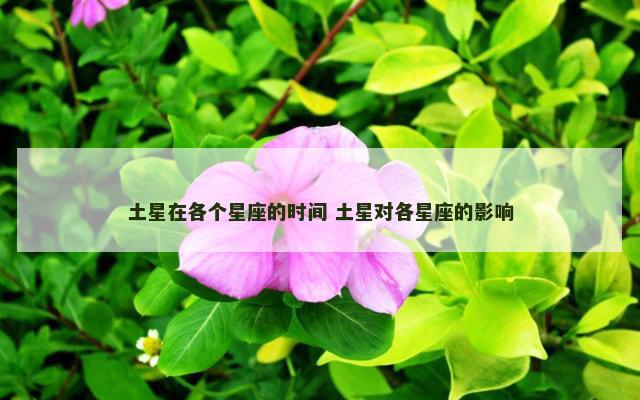 土星在各个星座的时间 土星对各星座的影响