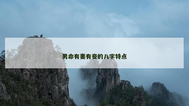 男命有妻有妾的八字特点