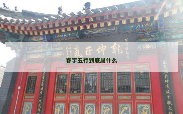 睿字五行到底属什么