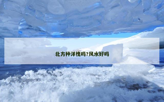 北方种洋槐吗?风水好吗