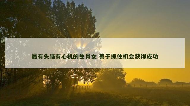 最有头脑有心机的生肖女 善于抓住机会获得成功