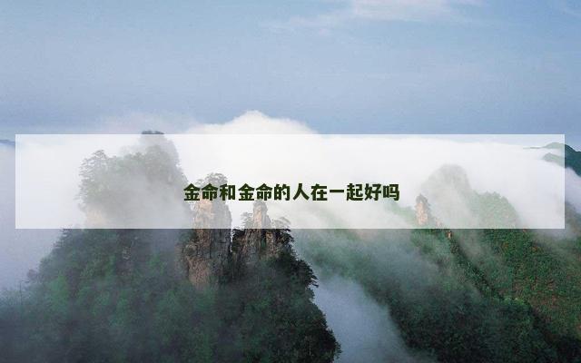 金命和金命的人在一起好吗