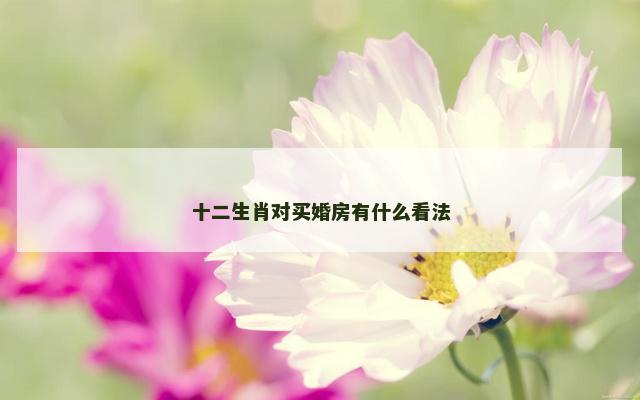 十二生肖对买婚房有什么看法