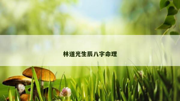 林道光生辰八字命理