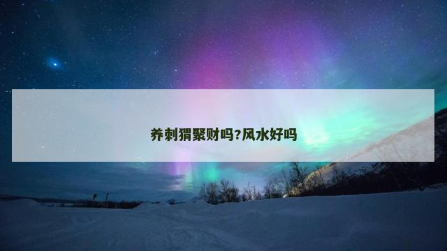 养刺猬聚财吗?风水好吗