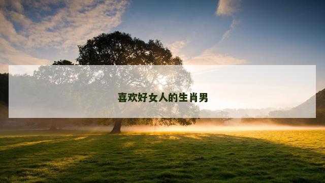 喜欢好女人的生肖男