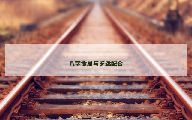 八字命局与岁运配合