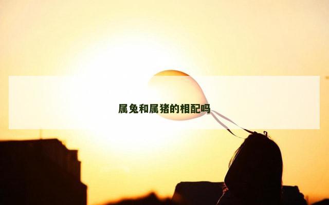 属兔和属猪的相配吗