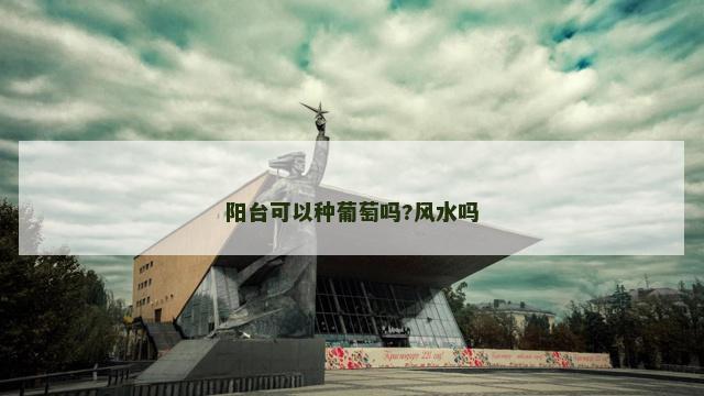 阳台可以种葡萄吗?风水吗