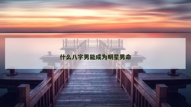 什么八字男能成为明星男命