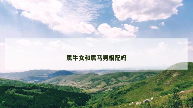 属牛女和属马男相配吗