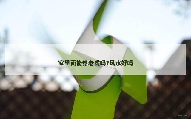 家里面能养老虎吗?风水好吗