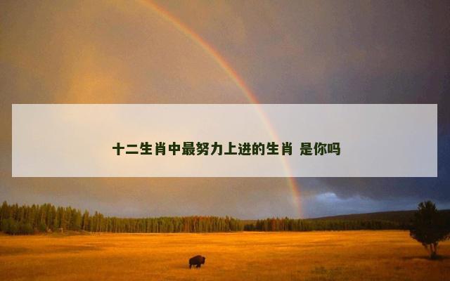 十二生肖中最努力上进的生肖 是你吗