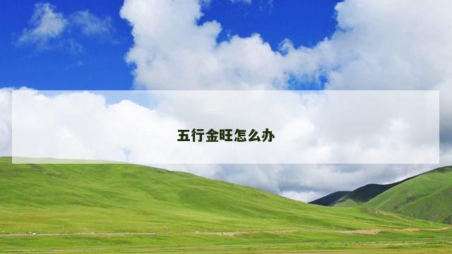五行金旺怎么办