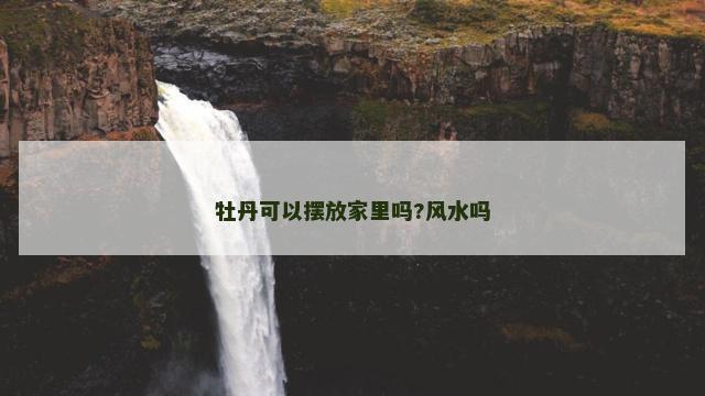牡丹可以摆放家里吗?风水吗