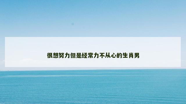 很想努力但是经常力不从心的生肖男